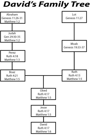 David's Family Tree